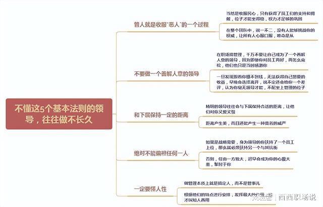 M6 米乐当领导搞管理不懂这5个基本法则往往做不长久(图3)