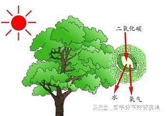 管理：管什么？米乐M6 M6米乐理什么？(图5)