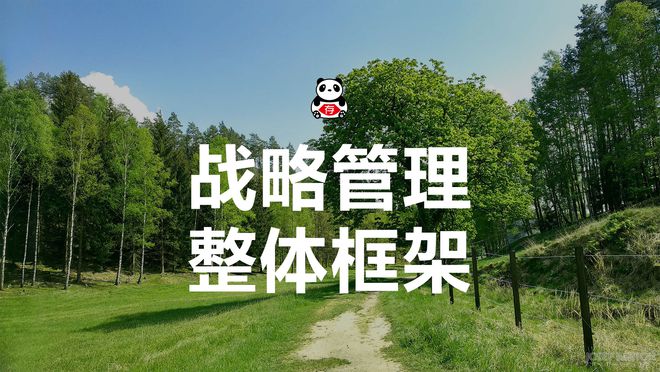 企业M6 米乐战略管理整体框架(图1)