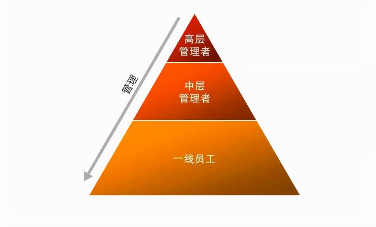 管理职能的基本分类M6 米乐(图3)